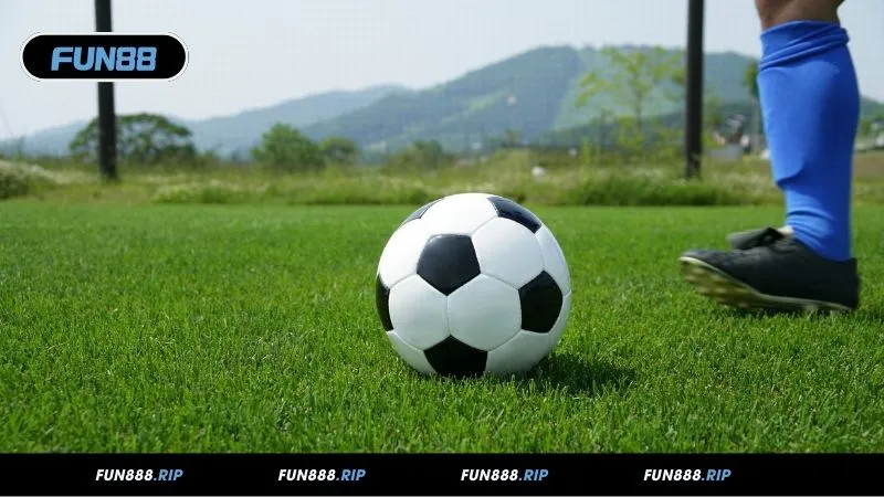 Các loại tỷ lệ Odds phổ biến trong cá cược hiện nay