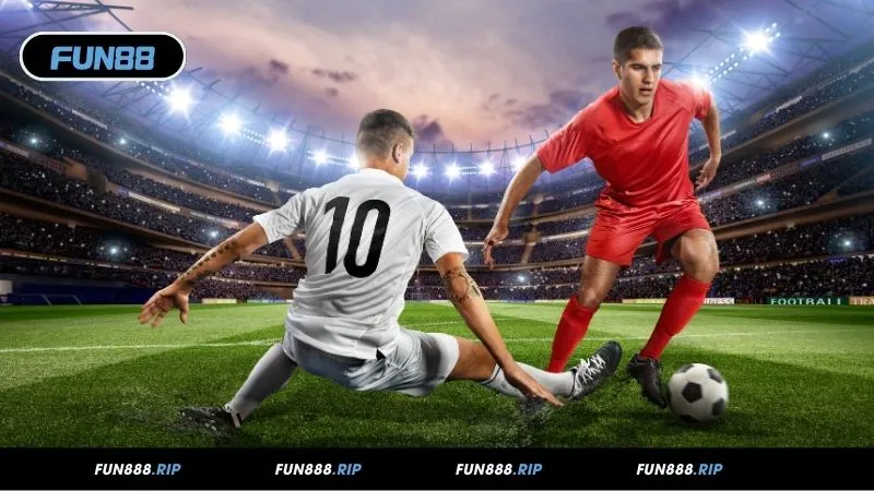 Cách đọc và phân tích tỷ lệ Odds từ nền tảng đến nâng cao