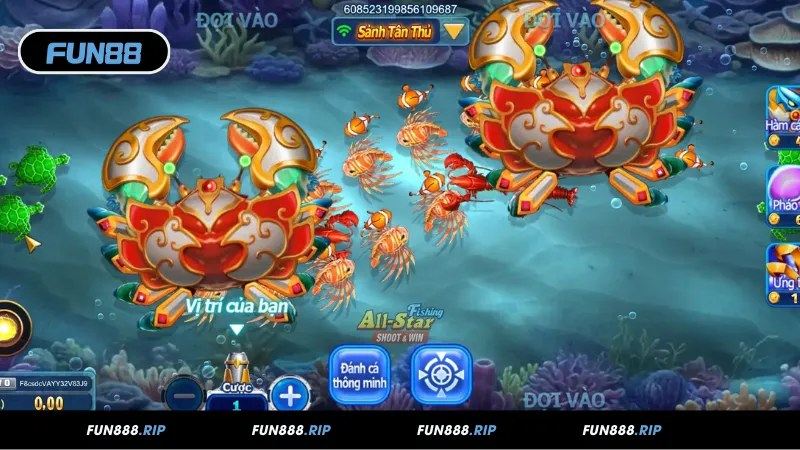 Mẹo săn xu trong All-Star Fishing hiệu quả
