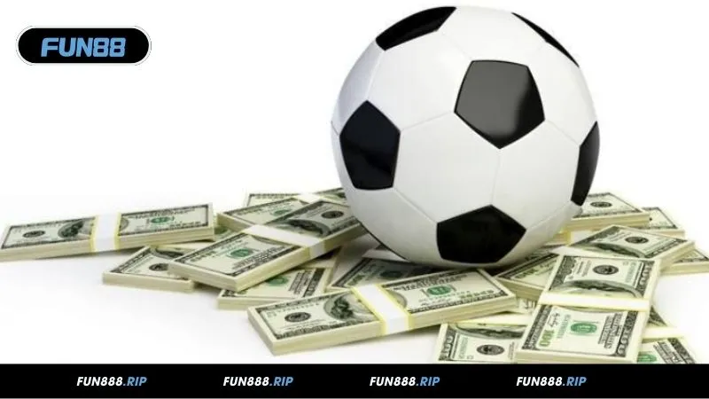 Tổng quan về tỷ lệ Odds